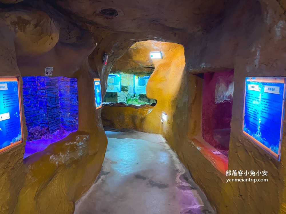野柳海洋世界｜親子必訪新北景點！海豚互動、海洋展一次玩透透
