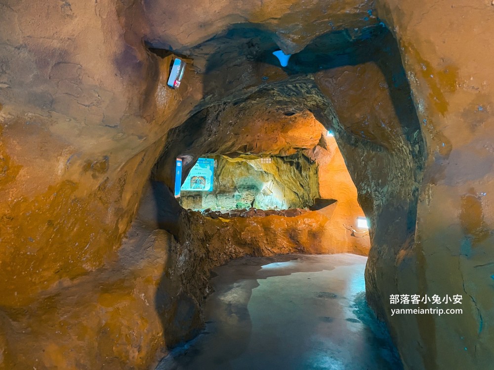 野柳海洋世界｜親子必訪新北景點！海豚互動、海洋展一次玩透透
