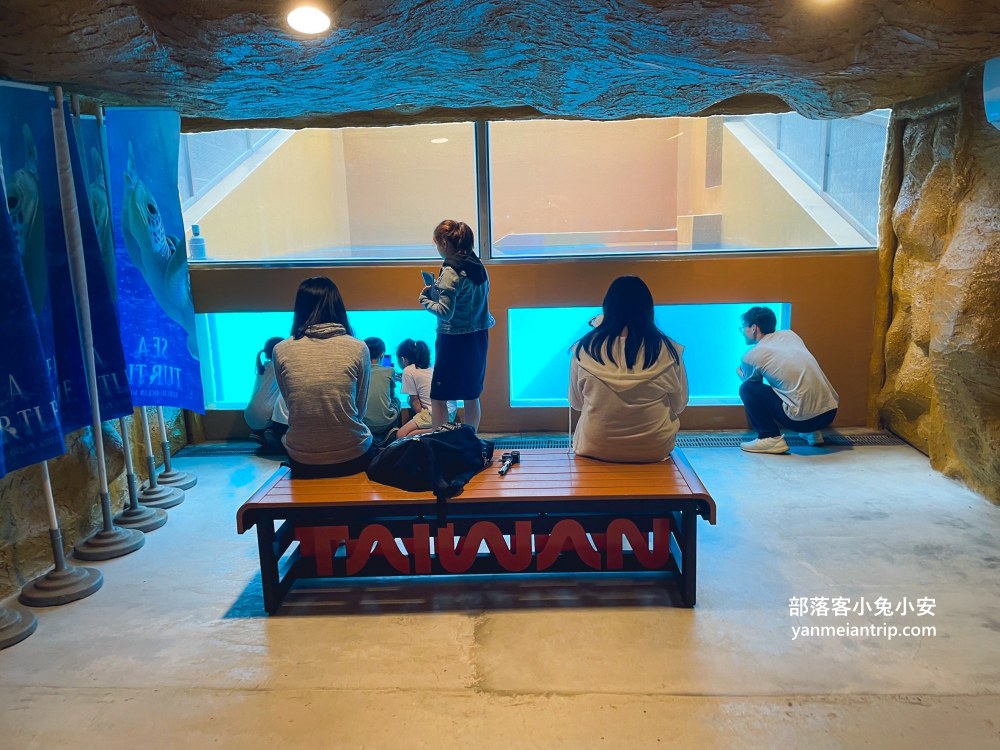 野柳海洋世界｜親子必訪新北景點！海豚互動、海洋展一次玩透透