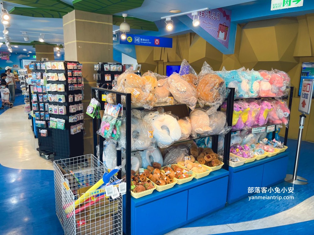野柳海洋世界｜親子必訪新北景點！海豚互動、海洋展一次玩透透