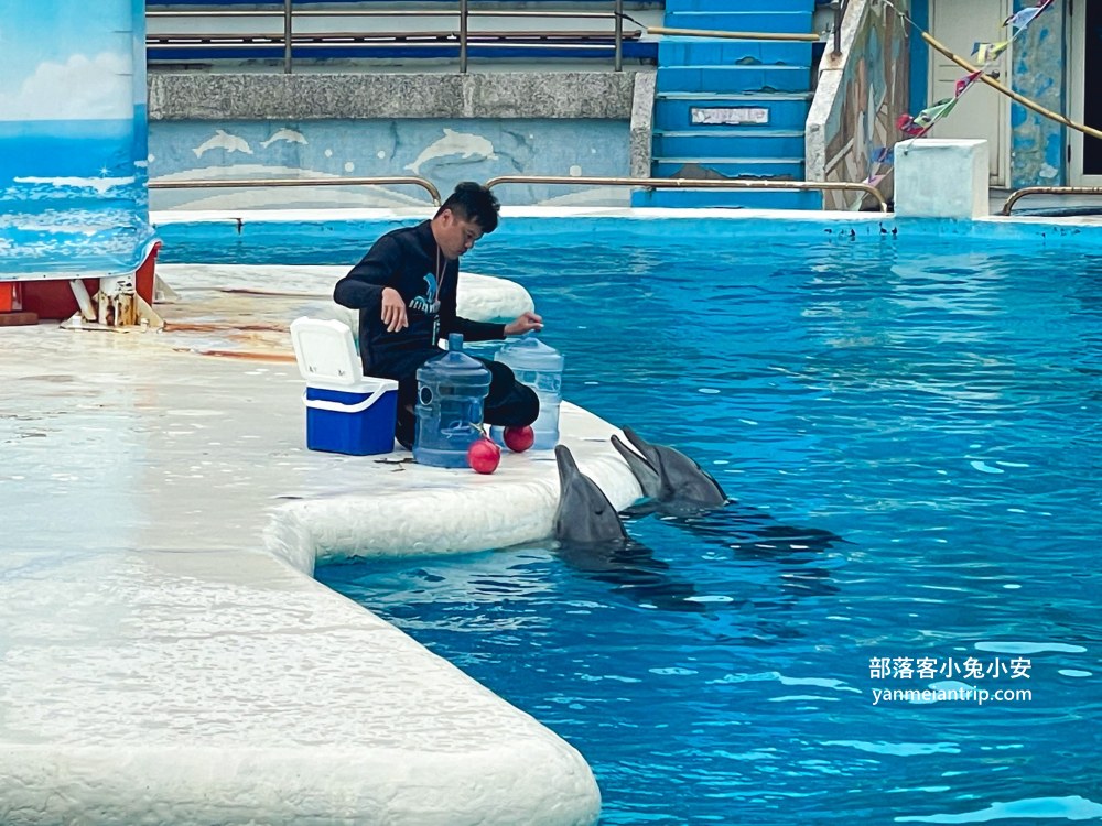 野柳海洋世界｜親子必訪新北景點！海豚互動、海洋展一次玩透透