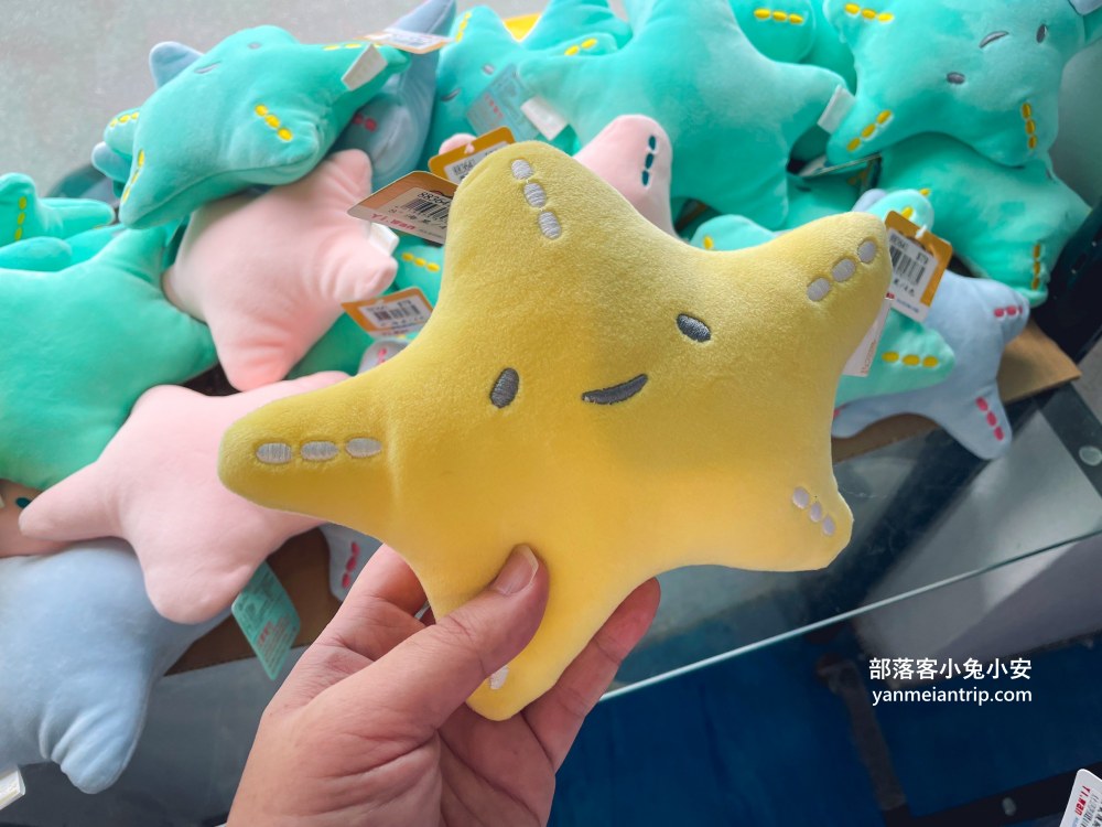 野柳海洋世界｜親子必訪新北景點！海豚互動、海洋展一次玩透透