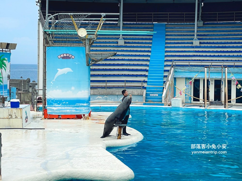 野柳海洋世界｜親子必訪新北景點！海豚互動、海洋展一次玩透透