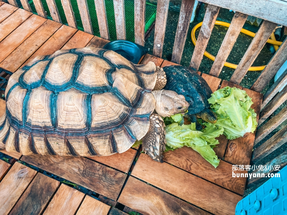 阿嬌海鮮館