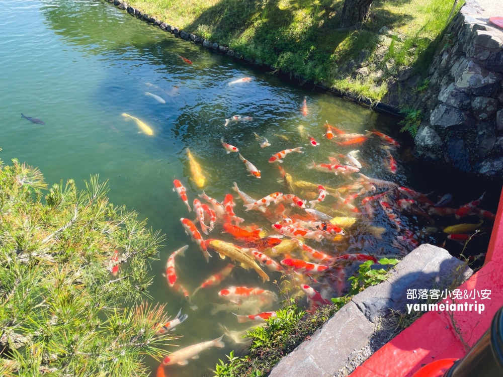 香川縣景點【栗林公園】米其林三星級日本庭院