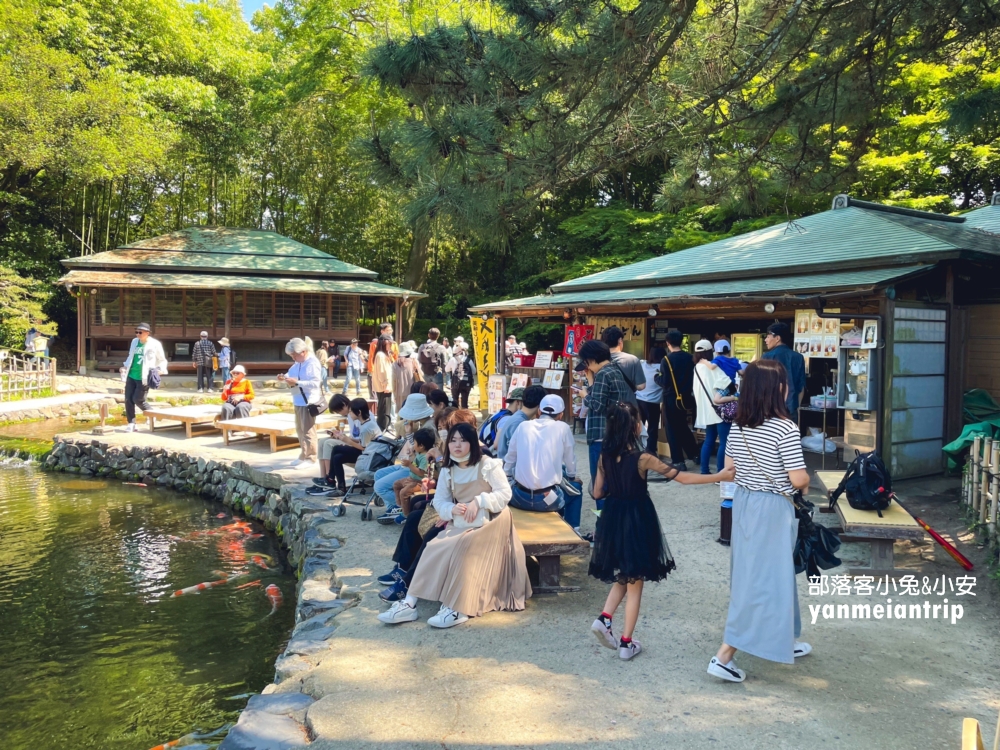 香川縣景點【栗林公園】米其林三星級日本庭院