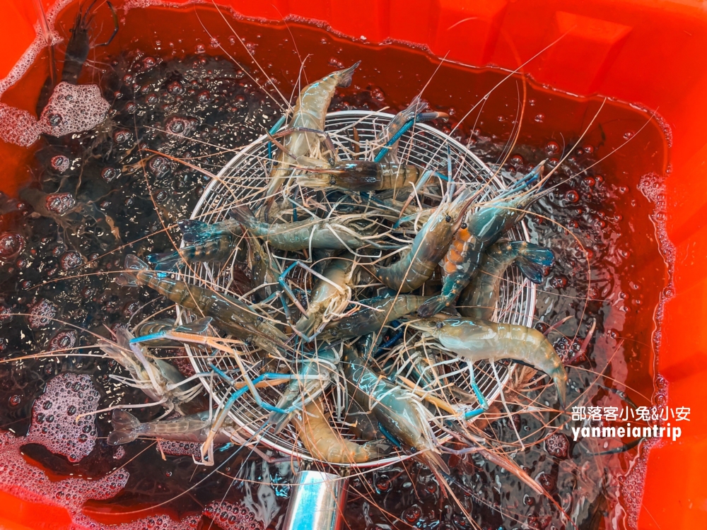 【阿布潘水產】台版築地市場，中秋烤肉想買海鮮來這裡就對了！