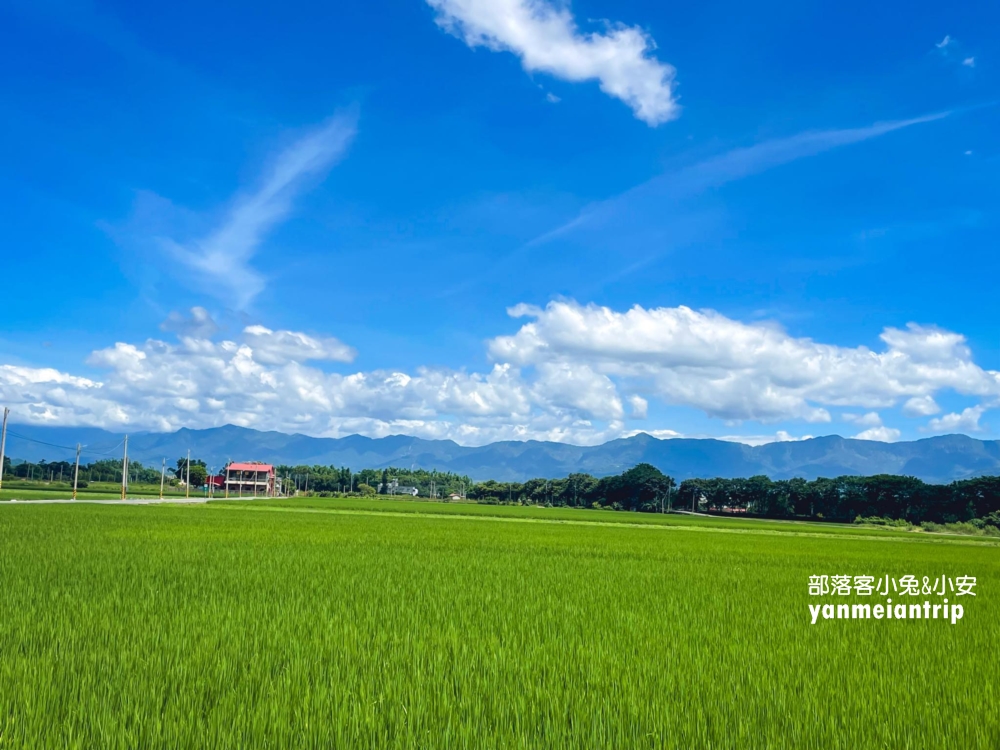 台南【小南海風景區】後壁私房景點，擁有最多湖泊的樹林步道