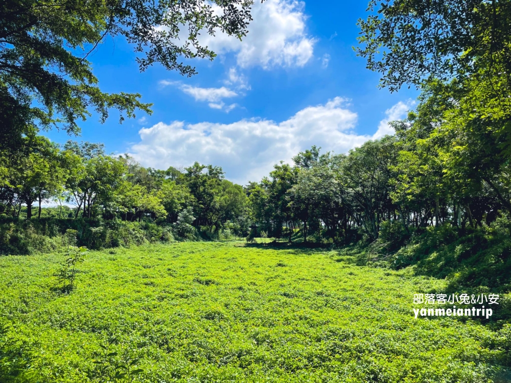 台南【小南海風景區】後壁私房景點，擁有最多湖泊的樹林步道