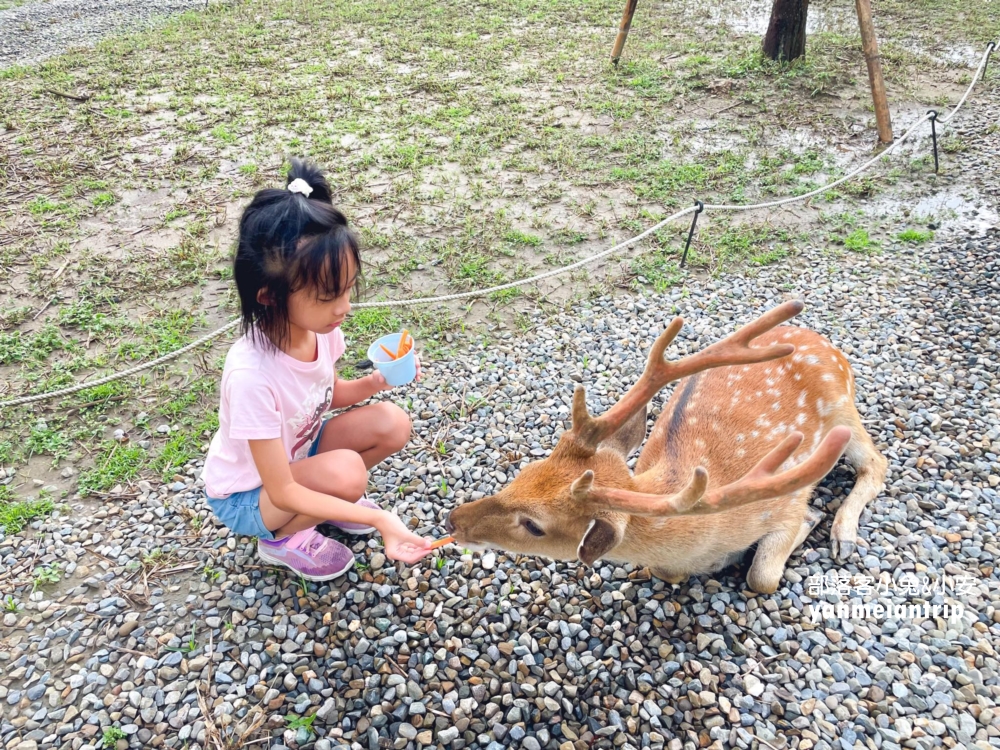 嘉義中埔【萌寵村親子樂園】暢遊十幾種無動力設施，餵動物真有趣