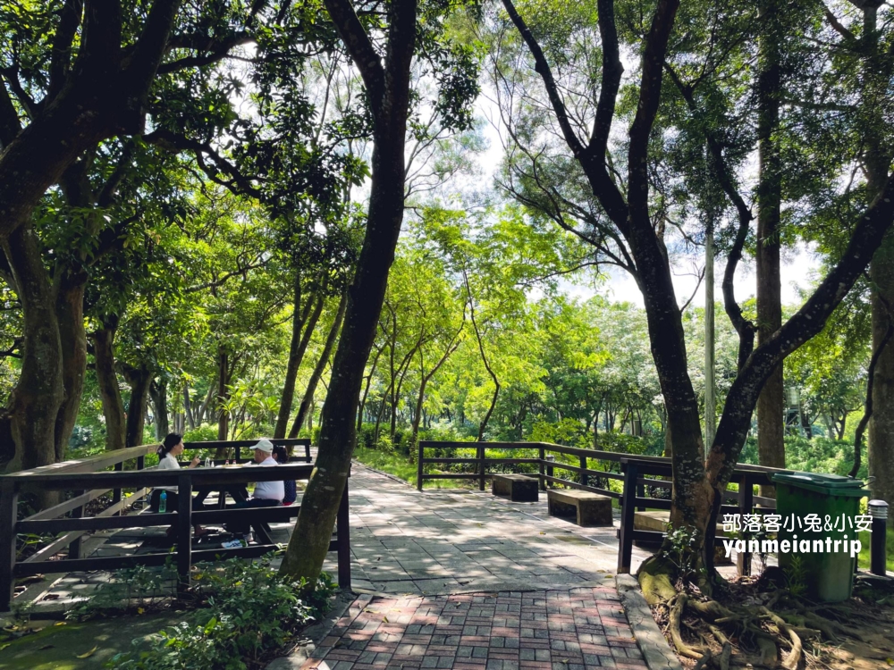 台南【小南海風景區】後壁私房景點，擁有最多湖泊的樹林步道