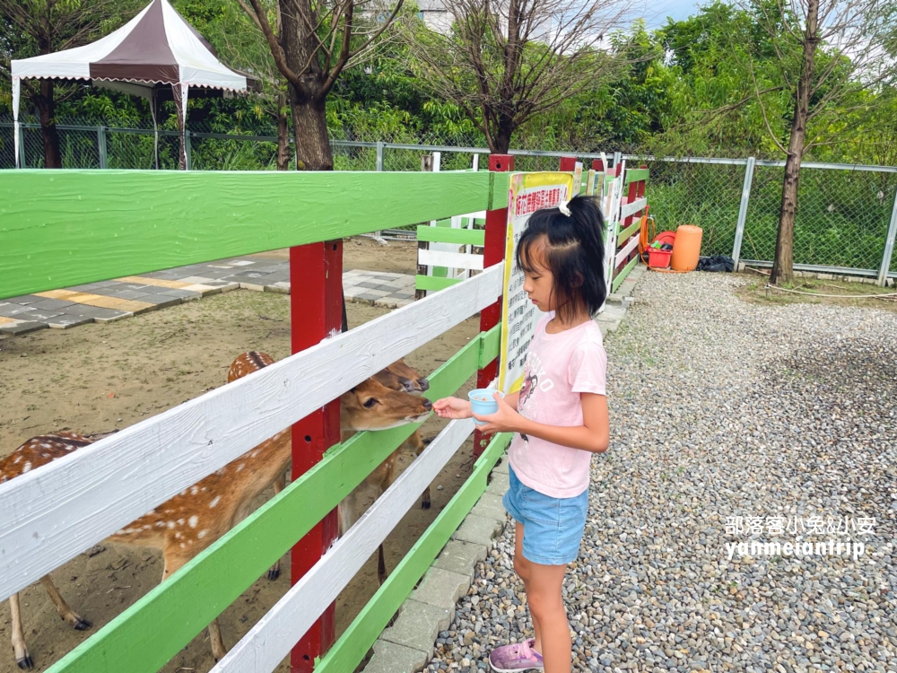 嘉義中埔【萌寵村親子樂園】暢遊十幾種無動力設施，餵動物真有趣