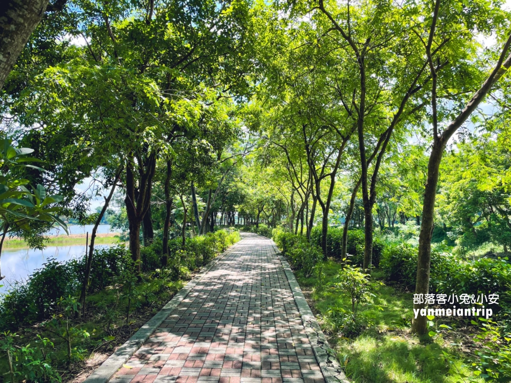 台南【小南海風景區】後壁私房景點，擁有最多湖泊的樹林步道