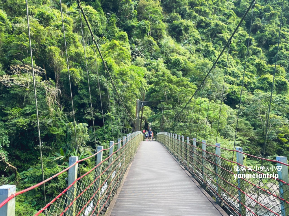 烏來【信賢步道】深山裡的舒適好走瀑布景觀森林步道