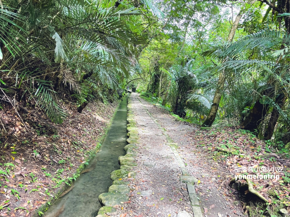 新北【烏來蝴蝶公園】來回不用一小時輕鬆抵達終點跨溪圓拱橋