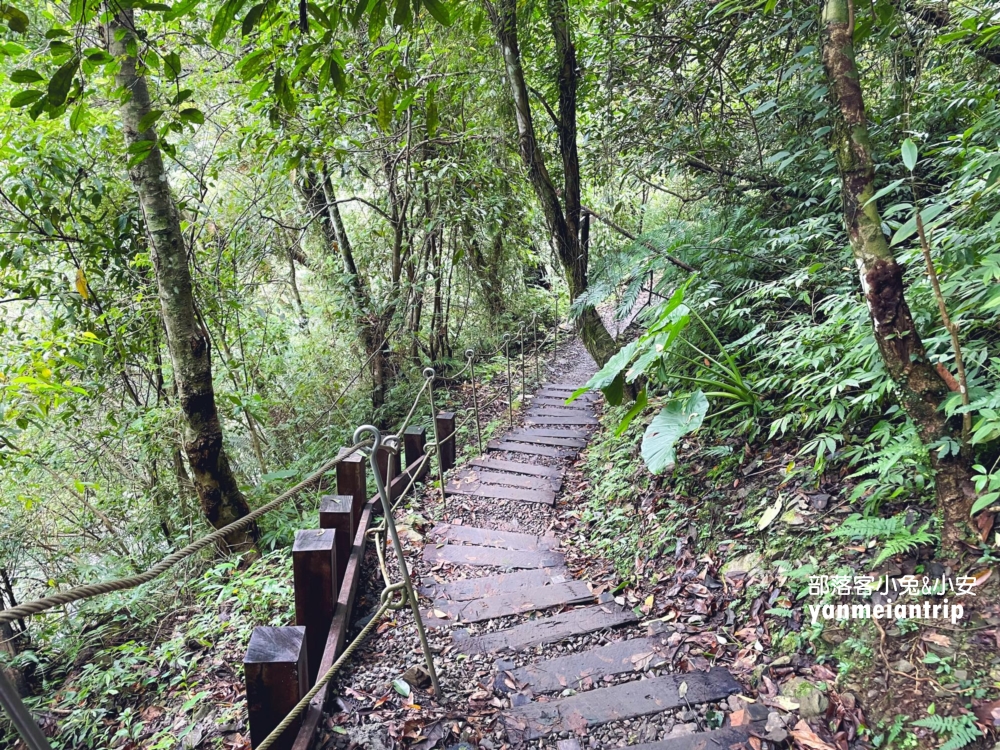 烏來蝴蝶公園，來回50分鐘輕鬆漫遊大羅蘭溪古圳步道