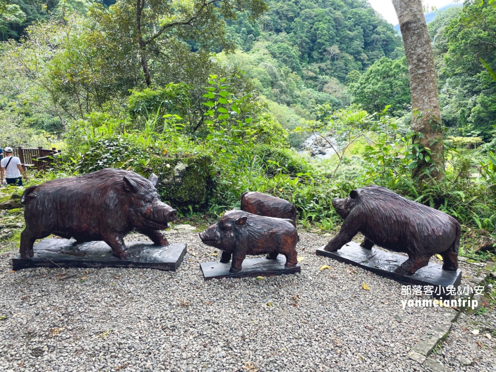 烏來蝴蝶公園，來回50分鐘輕鬆漫遊大羅蘭溪古圳步道