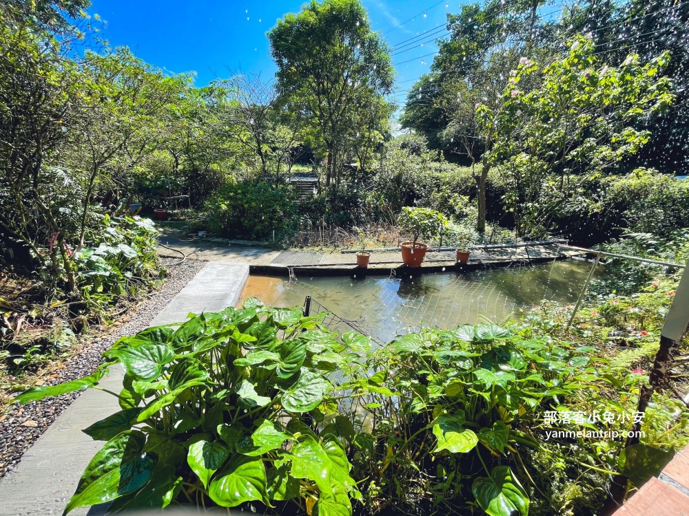 【安安土雞城】沒有門牌跟地址的深山餐廳，白斬雞跟薑母鴨就很頂天