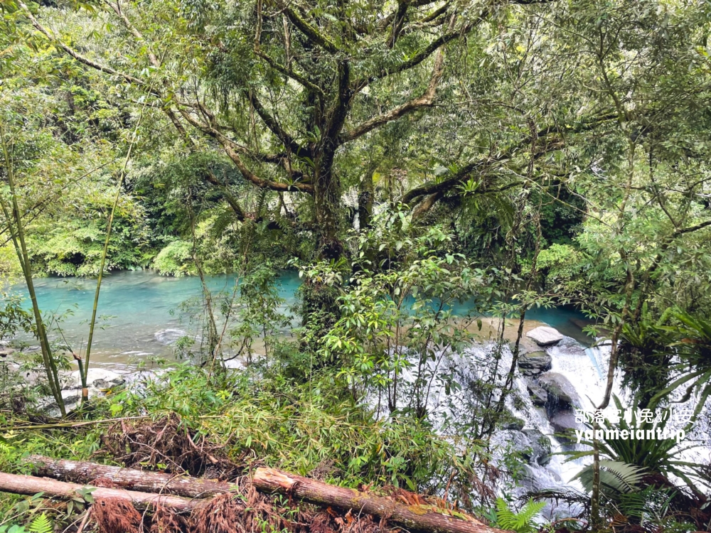 烏來蝴蝶公園，來回50分鐘輕鬆漫遊大羅蘭溪古圳步道