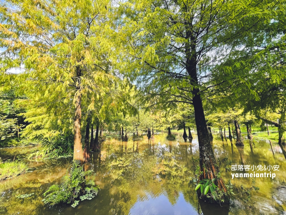 【十六崁宜蘭民宿】落羽松湖畔包棟民宿，有划船、卡拉OK的親子住宿地點