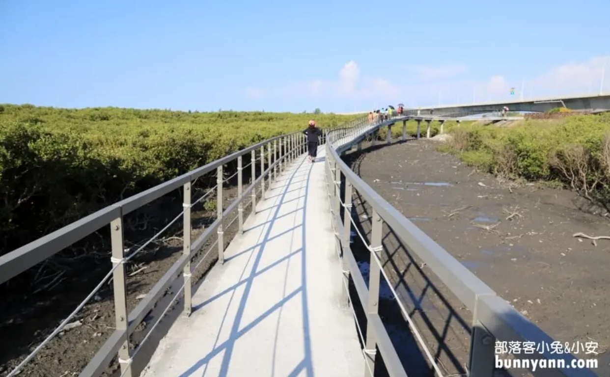 網站近期文章：彰化芳苑海空步道，漫步紅樹林潮間帶，停車資訊分享