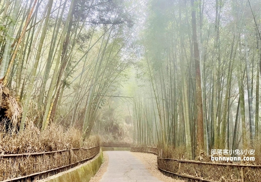 網站近期文章：雲林草嶺【五元兩角】台版小京都嵐山竹林，走進美麗竹林隧道