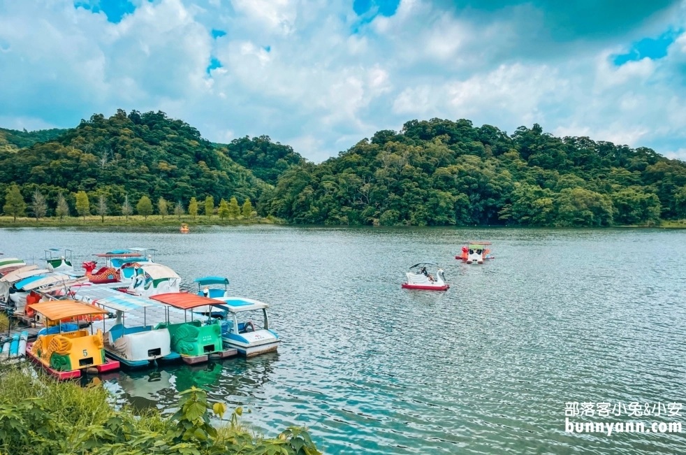 苗栗三義映象水岸私房咖啡店，欣賞唯美湖景還可以搭天鵝船遊湖