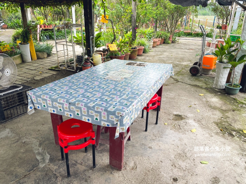 屏東【林邊花草工作室】位在產業道路裡的私房炭烤店