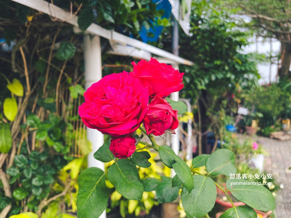 屏東【林邊花草工作室】位在產業道路裡的私房炭烤店