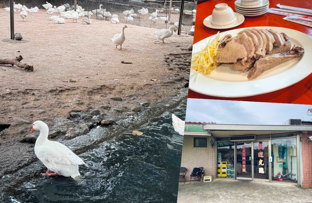 桃園隱藏美食【新屋建業鵝肉美食館】食尚玩家也來吃過的鄉野餐廳!! @小兔小安*旅遊札記