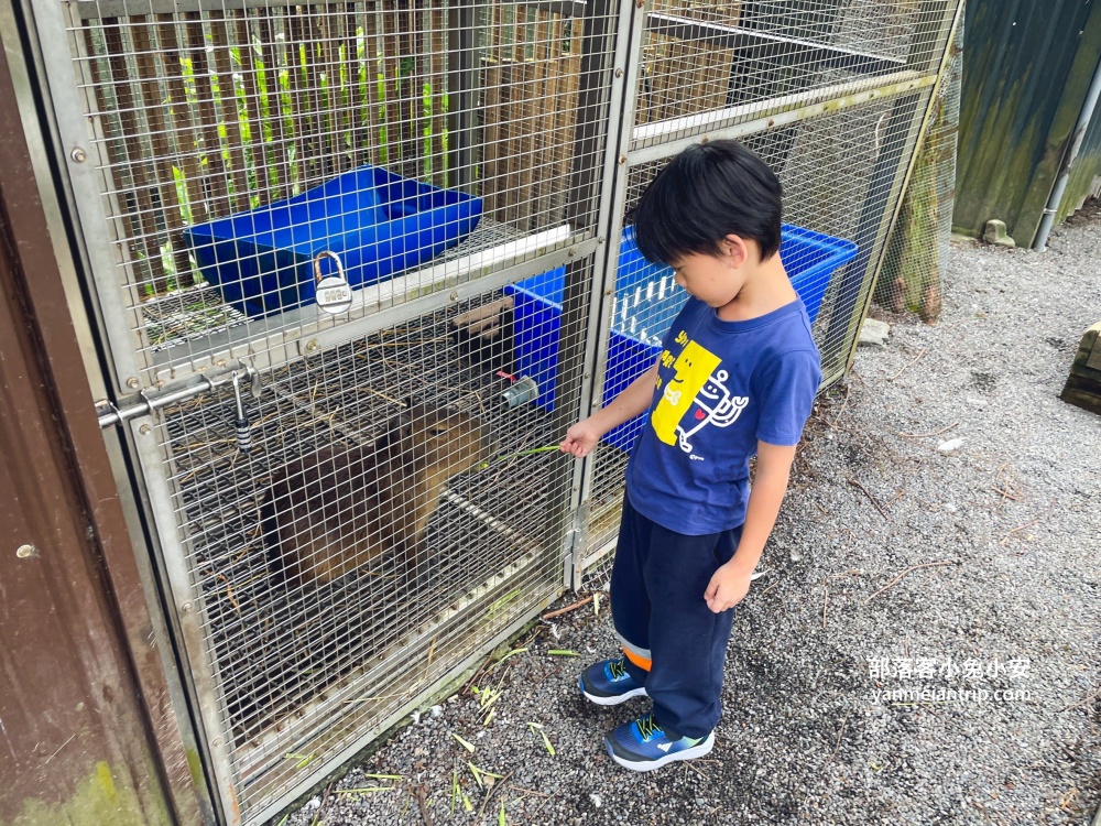 宜蘭「水岸森林休閒農場」位於冬山鄉的森林物語可愛動物園區