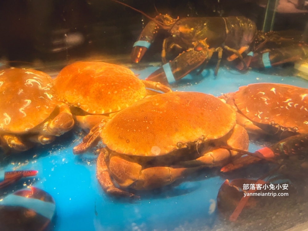 民權東路美食推薦【深紅汕頭鍋物】台北民權店龍蝦海鮮火鍋(菜單)