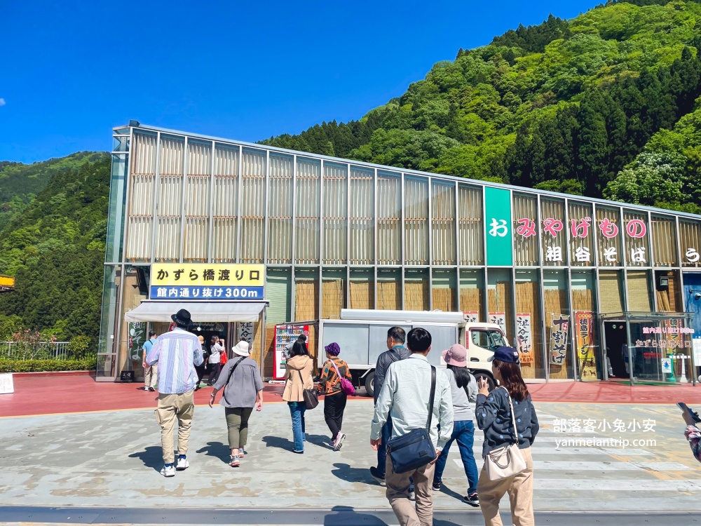 祖谷藤蔓橋🌿用藤蔓編織而成跨溪吊橋，德島限定奇景