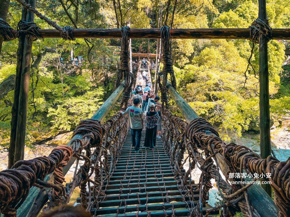 祖谷藤蔓橋🌿用藤蔓編織而成跨溪吊橋，德島限定奇景