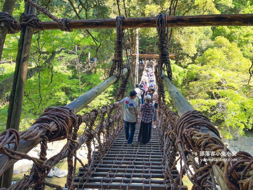 祖谷藤蔓橋🌿用藤蔓編織而成跨溪吊橋，德島限定奇景