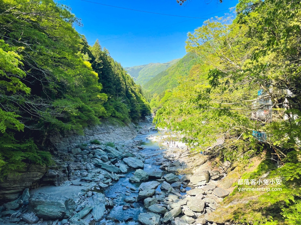 祖谷藤蔓橋🌿用藤蔓編織而成跨溪吊橋，德島限定奇景