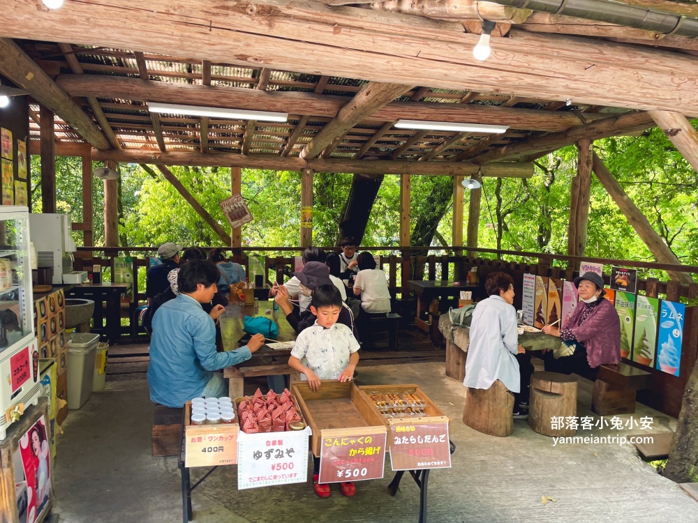 祖谷藤蔓橋🌿用藤蔓編織而成跨溪吊橋，德島限定奇景