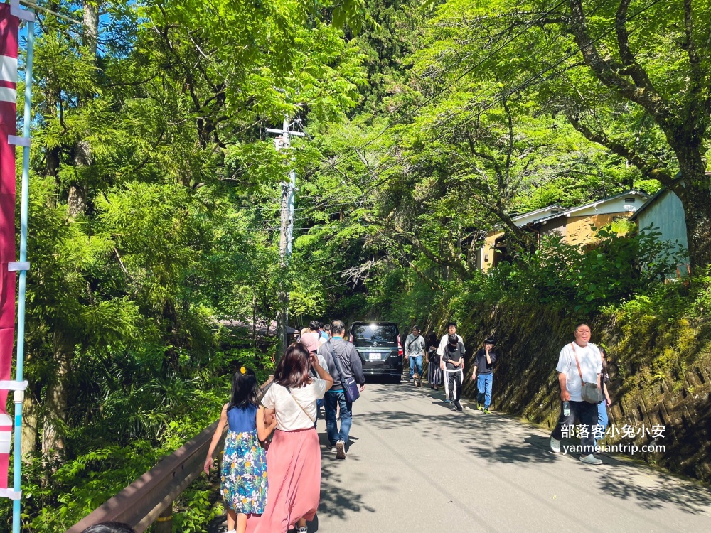 祖谷藤蔓橋🌿用藤蔓編織而成跨溪吊橋，德島限定奇景