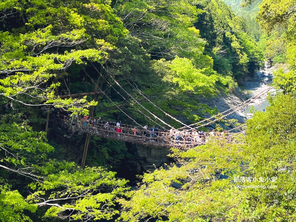 祖谷藤蔓橋🌿用藤蔓編織而成跨溪吊橋，德島限定奇景