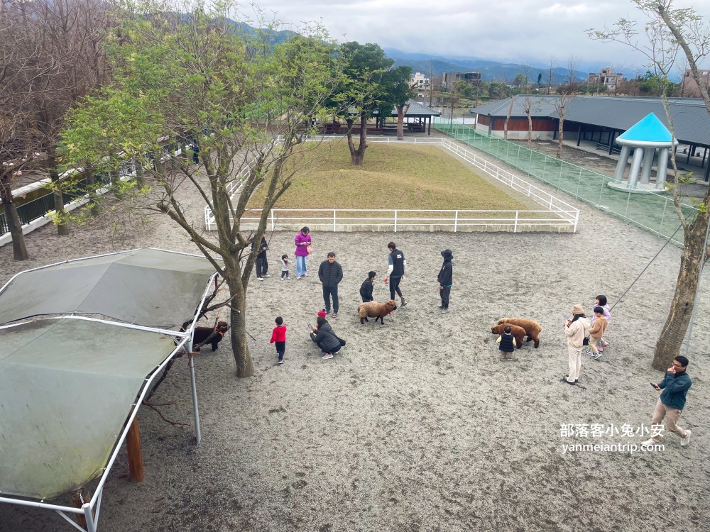宜蘭【樹懶餐廳】張美阿嬤農場2.0版，可愛泰迪羊萌力爆發