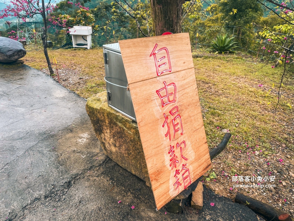 宜蘭冬山最美露營區！松櫻秘境，免費開放參觀櫻花林有夠浪漫的