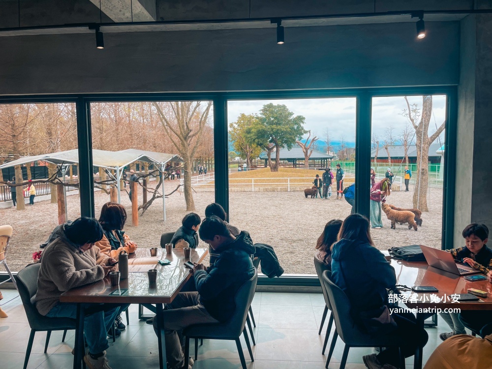 【宜蘭樹懶餐廳】全新萌寵景觀餐廳！來餵食高地牛、泰迪羊、鸚鵡，現場還有鵜鶘驚喜現身！