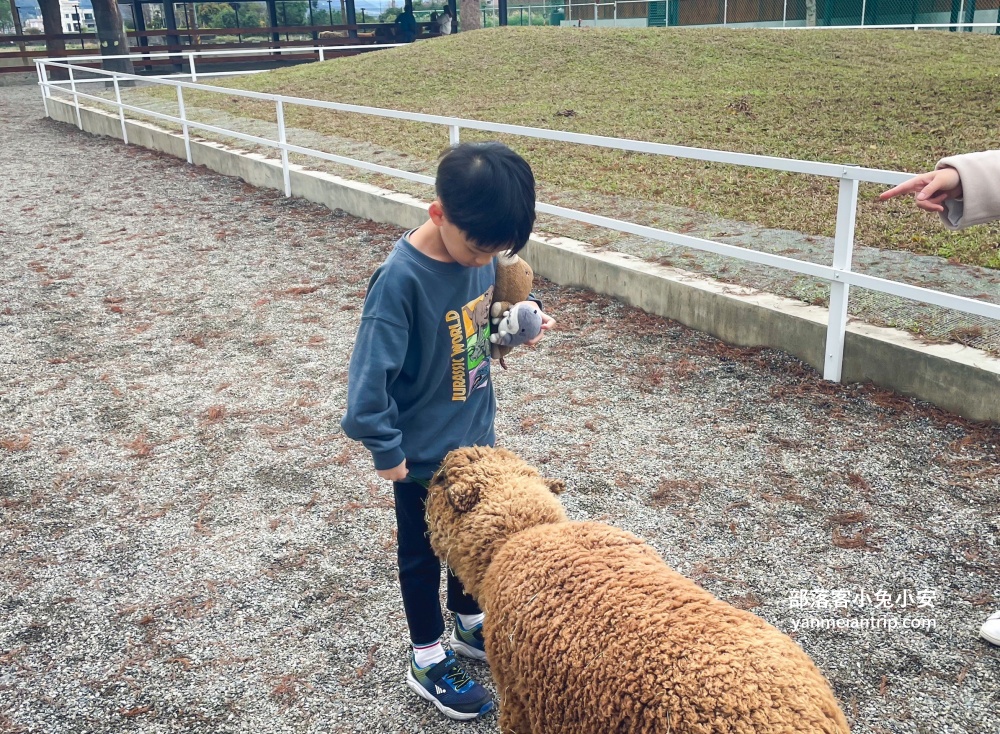 【宜蘭樹懶餐廳】全新萌寵景觀餐廳！來餵食高地牛、泰迪羊、鸚鵡，現場還有鵜鶘驚喜現身！