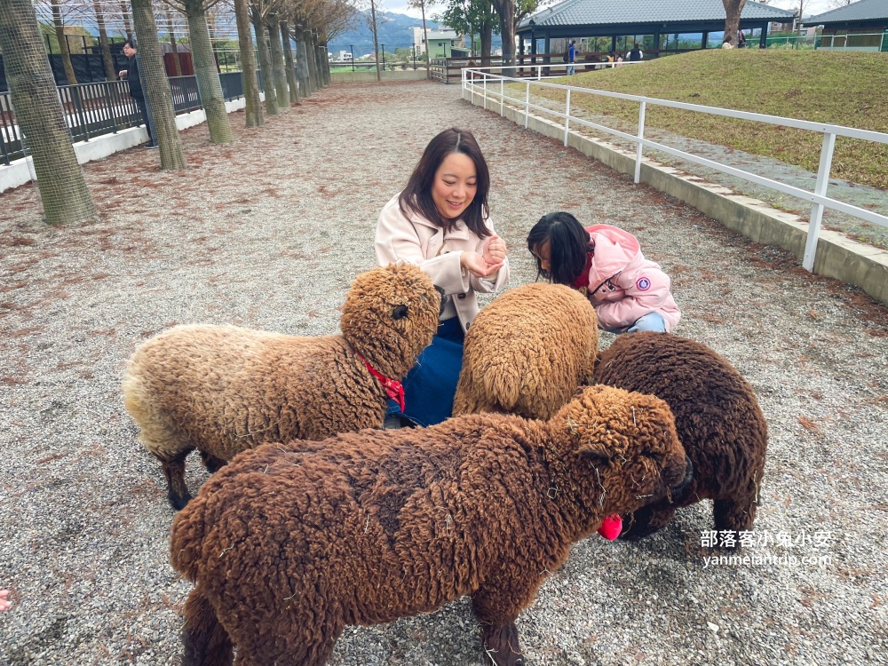 【宜蘭樹懶餐廳】全新萌寵景觀餐廳！來餵食高地牛、泰迪羊、鸚鵡，現場還有鵜鶘驚喜現身！