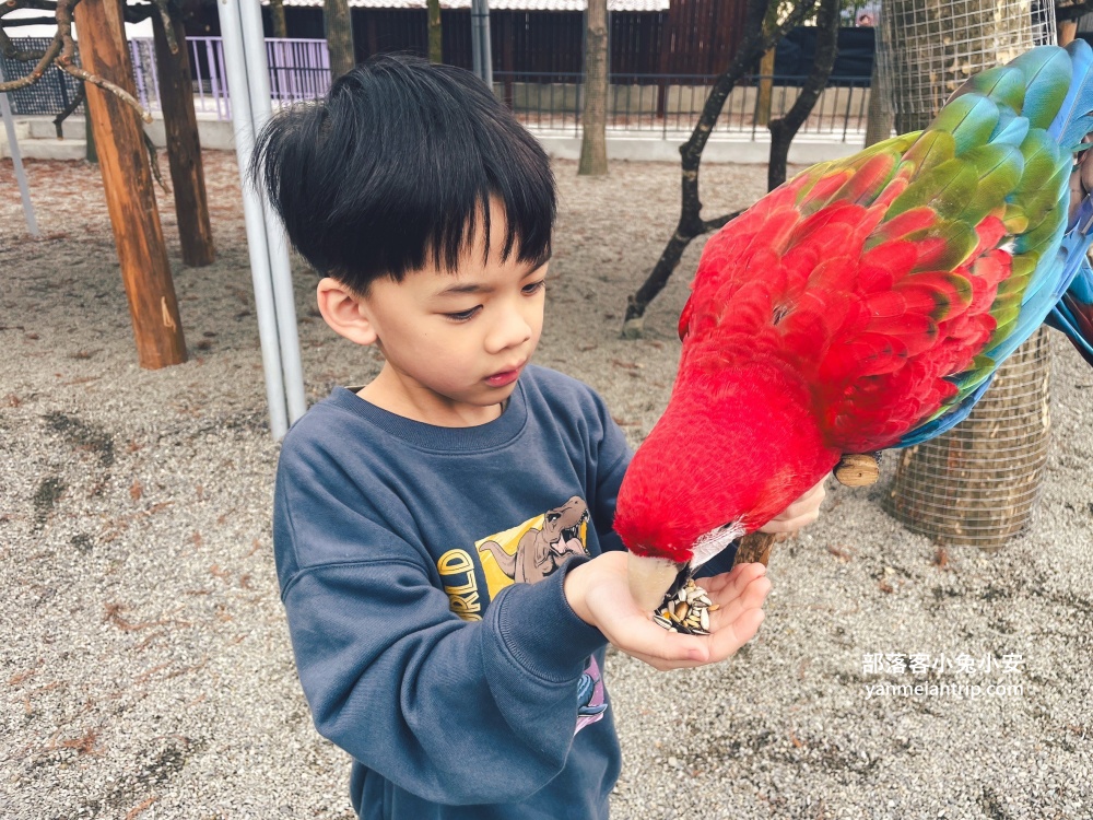 【宜蘭樹懶餐廳】全新萌寵景觀餐廳！來餵食高地牛、泰迪羊、鸚鵡，現場還有鵜鶘驚喜現身！