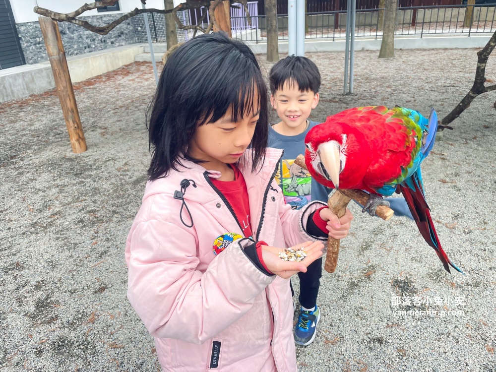 【宜蘭樹懶餐廳】全新萌寵景觀餐廳！來餵食高地牛、泰迪羊、鸚鵡，現場還有鵜鶘驚喜現身！