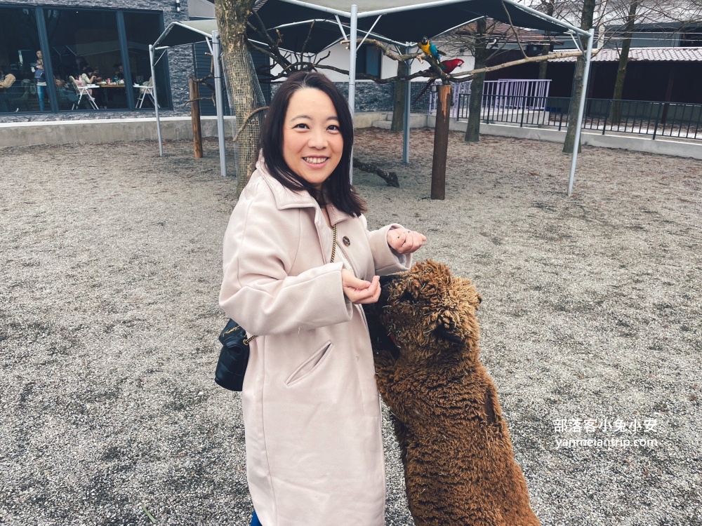 【宜蘭樹懶餐廳】全新萌寵景觀餐廳！來餵食高地牛、泰迪羊、鸚鵡，現場還有鵜鶘驚喜現身！