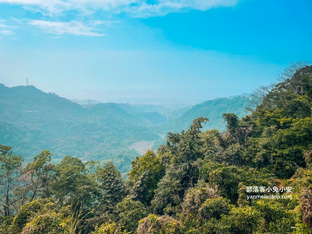 南投鹿谷【鹿芝谷生態景觀園區】山中小鎮的可愛動物農場