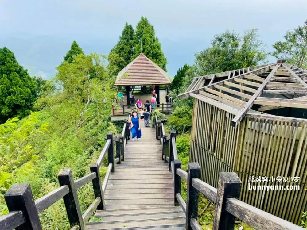 嘉義番路鄉【二延平步道】茶田裡的好走茶園登山步道 @小兔小安*旅遊札記