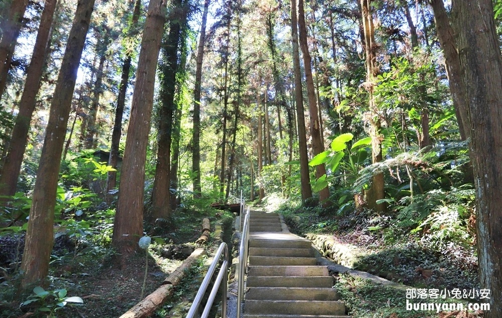 網站近期文章：南投鳳凰谷鳥園生態園區，停留時間、門票優惠、環境一次攻略。